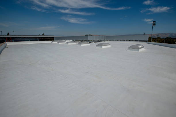 Best Flat Roofing  in Highlands Ranch, CO